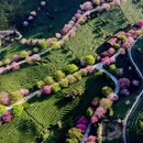 福州旅游 缩略图 2