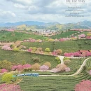 福州旅游 缩略图 6