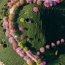 福州旅游 缩略图 1