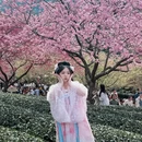 福州旅游 缩略图 2