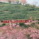 福州旅游 缩略图 7