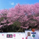 龙岩旅游 缩略图 2