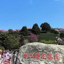 龙岩旅游 缩略图 8