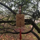 龙岩旅游 缩略图 10