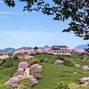 龙岩旅游 缩略图 1