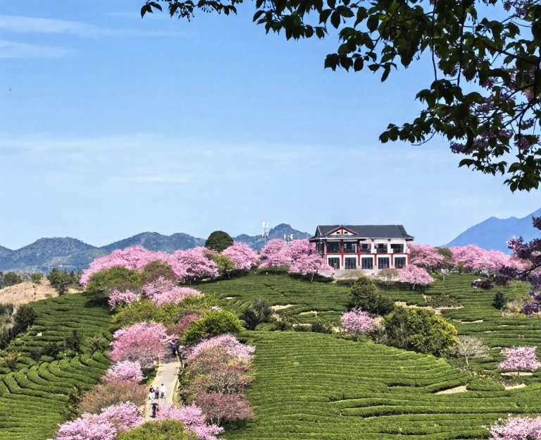 龙岩旅游 1