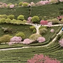 龙岩旅游 缩略图 1