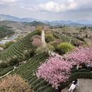 龙岩旅游 缩略图 2