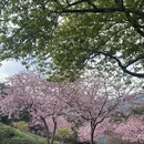 龙岩旅游 缩略图 3