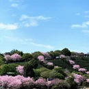 龙岩旅游 缩略图 7