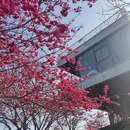 漳州旅游 缩略图 9