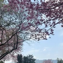 龙岩旅游 缩略图 4