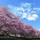 龙岩旅游 缩略图 4