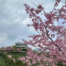 龙岩旅游 缩略图 10