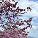 龙岩旅游 缩略图 12