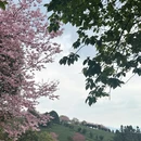 龙岩旅游 缩略图 5