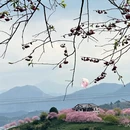 龙岩旅游 缩略图 9