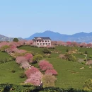 桂林旅游 缩略图 2