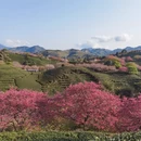 桂林旅游 缩略图 3