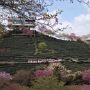 龙岩旅游 缩略图 2