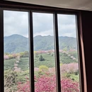 龙岩旅游 缩略图 3