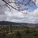 龙岩旅游 缩略图 5