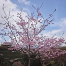 龙岩旅游 缩略图 7