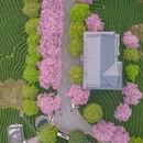 龙岩旅游 缩略图 9