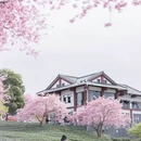 龙岩旅游 缩略图 12