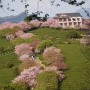 龙岩旅游 缩略图 2