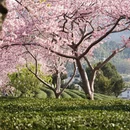 龙岩旅游 缩略图 5
