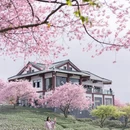 龙岩旅游 缩略图 14