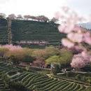 龙岩旅游 缩略图 4