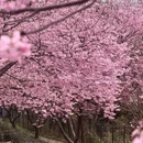 龙岩旅游 缩略图 1