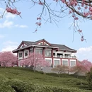 龙岩旅游 缩略图 2