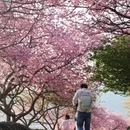 龙岩旅游 缩略图 9