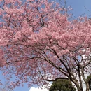 龙岩旅游 缩略图 5