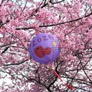 龙岩旅游 缩略图 9