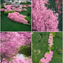 龙岩旅游 缩略图 1