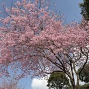 龙岩旅游 缩略图 3