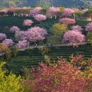 龙岩旅游 缩略图 8