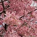 龙岩旅游 缩略图 8