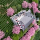 龙岩旅游 缩略图 8