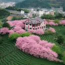 龙岩旅游 缩略图 3