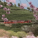 龙岩旅游 缩略图 7