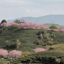 龙岩旅游 缩略图 6