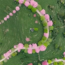 龙岩旅游 缩略图 12