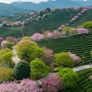 龙岩旅游 缩略图 1