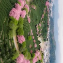 龙岩旅游 缩略图 7
