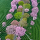 龙岩旅游 缩略图 5